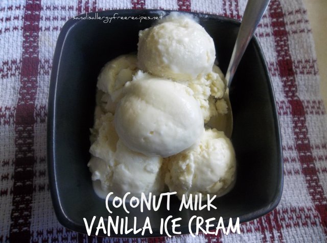 Coconut Milk Vanilla Ice Cream